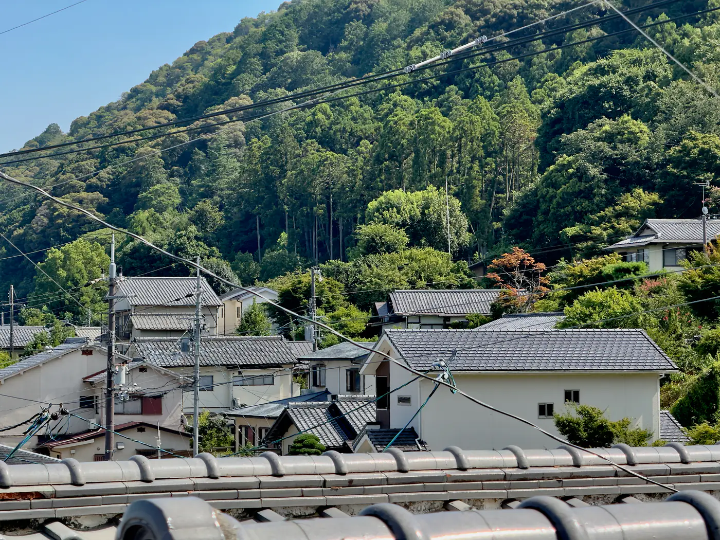 the view from the top floor of the house: the neighbourhood roofs, then the wooded hill