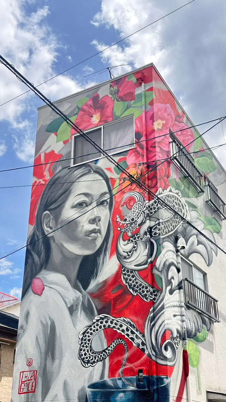 a woman in black and white among red flowers, the full height of a gable