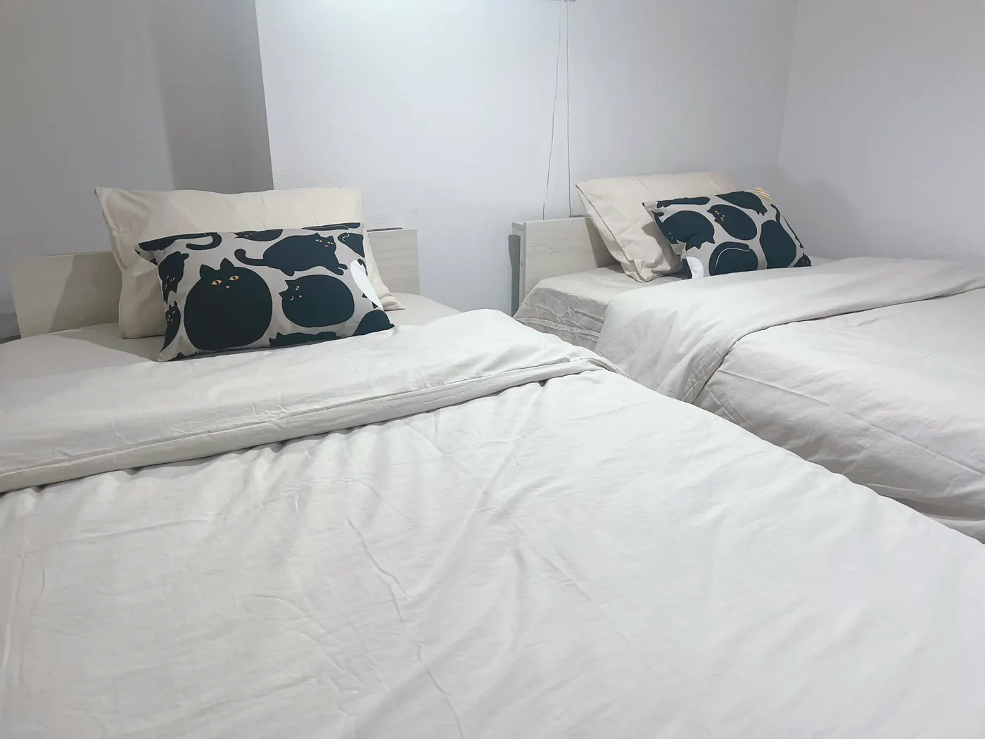 the other bedroom, with its twin beds